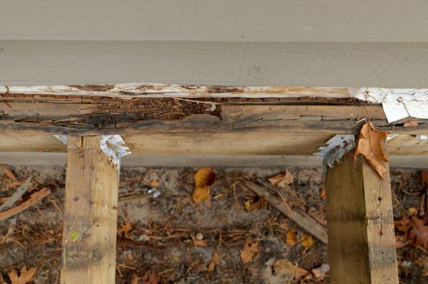 Athens Wood Rot Repair