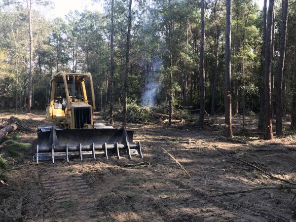 Athens Land Clearing