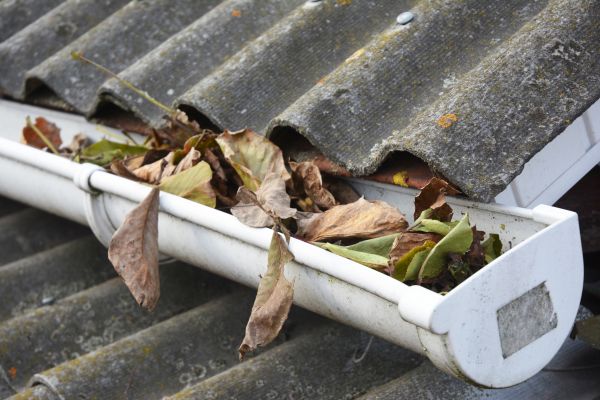 Athens Gutter Cleaning