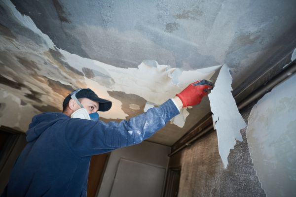 Athens Fire Restoration